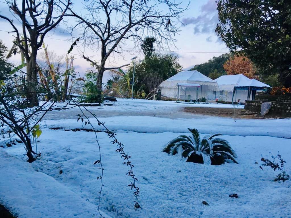 Tatva Bir Tents And Hotel Kangar エクステリア 写真